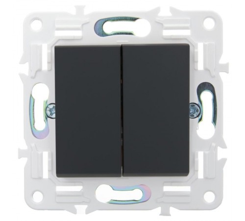 SKANDY Выключатель 2-клавишный проходной 10А SK-V05G графит  SK-V22-0-10-K53  IEK