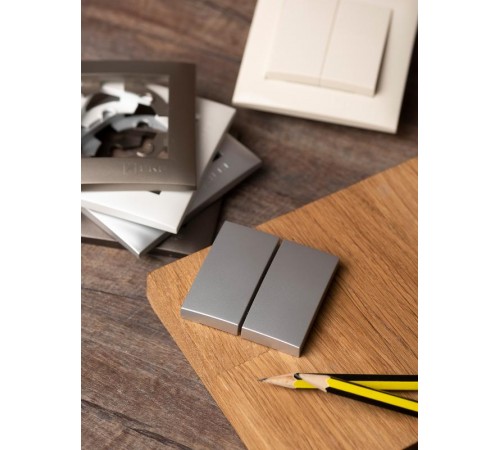 Валенсия лицевая панель выключателя 2-кл. 10А сталь EKF PROxima   ESV10-L-023-30   EKF