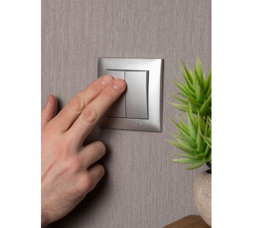 Валенсия лицевая панель выключателя 2-кл. 10А сталь EKF PROxima   ESV10-L-023-30   EKF