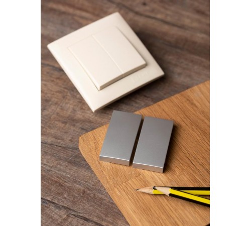 Валенсия лицевая панель выключателя 2-кл. 10А сталь EKF PROxima   ESV10-L-023-30   EKF