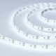 Светодиодная лента герметичная RTW-SE-A120-8mm 12V Cool 10K (9.6 W/m, IP65, 2835, 5m) (Arlight, 9.6 Вт/м, IP65)  016838(2)  Arlight