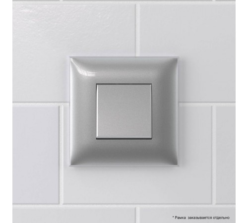 Кнопка одноклавишная в стену, "Avanti", "Закаленная сталь"  4404153  DKC