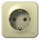 Blanca Бежевый О/У с изолирующей пластиной Розетка с з/к без шторок 16А, 250В  BLNRA010117  SE