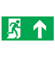 Пиктограмма (наклейка) 14 418 NL-100x200W-E38 (на стену) 14418 Navigator