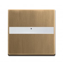 Клав. с полем для надписи, со световодом, для выкл./перекл./кнопок, серия Династия, Латунь античная  1731-0-2024   2CKA001731A2024  ABB