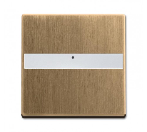Клав. с полем для надписи, со световодом, для выкл./перекл./кнопок, серия Династия, Латунь античная  1731-0-2024   2CKA001731A2024  ABB