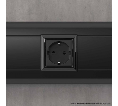 Розетка модульная, 2P+E, с з/ш, "Avanti", "Черный матовый", 2 модуля  4412002  DKC