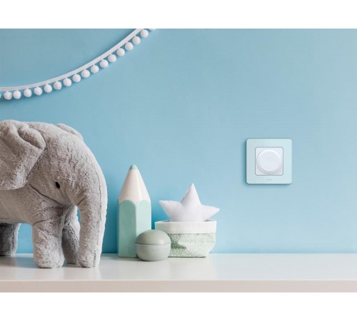 Inspiria Мятный Рамка 1-ая  673935  Legrand