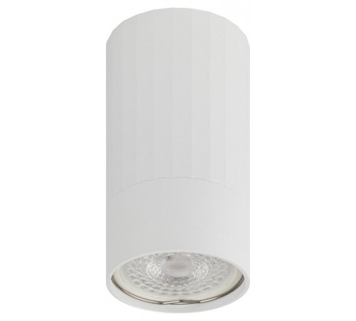 Светильник настенно-потолочный спот OL32 WH MR16 GU10 IP20 белый  Б0056377  ЭРА