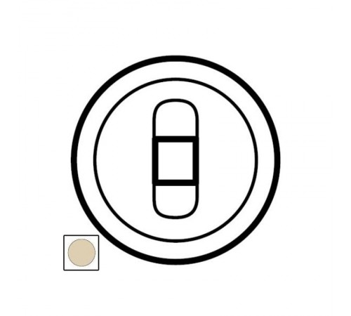 Celiane Сл. кость Накладка 1-ой аудиорозетки мех 67311  066240  Legrand