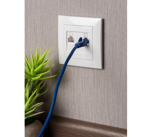 Валенсия розетка компьютерная RJ-45 2-местная белая EKF PROxima   EWK02-035-10   EKF