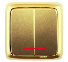 Выключатель открытой установки, двухклавишный, с индикацией, цвет золото  ВА10-152-07  HEGEL