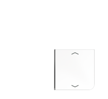 клавиша с символом для 3 и 4-клавишного пульта KNX, белая, для серии CD (верхняя левая; верхняя левая и нижня правая)  CD404TSAPWW14  Jung