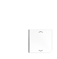 клавиша с символом для 3 и 4-клавишного пульта KNX, белая, для серии CD (верхняя левая; верхняя левая и нижня правая)  CD404TSAPWW14  Jung