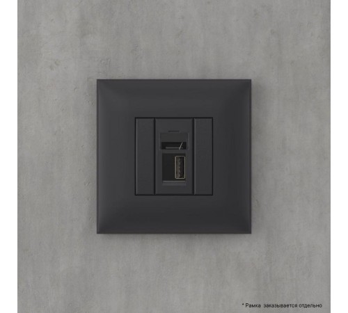 USB 2.0 розетка одинарная в стену, тип А-А, "Avanti", "Черный матовый"  4412403  DKC