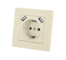 Розетка 2П+З 16А 250В + 2 USB порта 2,1А 5В сл. кость "Сенеж"   SQ1816-0153  TDM