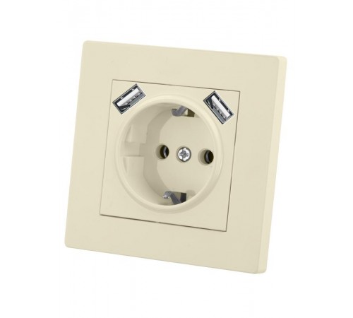 Розетка 2П+З 16А 250В + 2 USB порта 2,1А 5В сл. кость "Сенеж"   SQ1816-0153  TDM