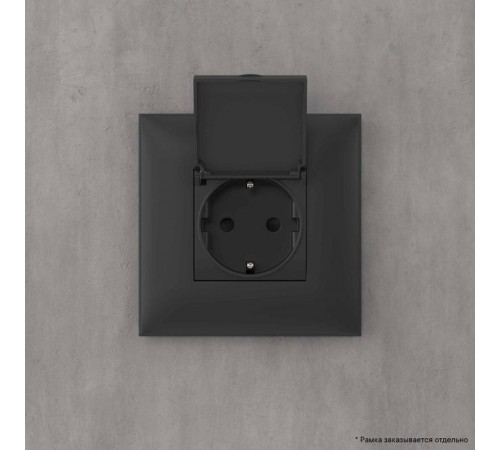 Розетка с крышкой в стену, 2P+E, с з/ш, "Avanti", "Черный матовый"  4412013  DKC