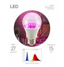 Фитолампа для растений светодиодная  GREEN LINE ФИТО A60-15W-PL-E27-GR красно-синего спектра 15 Вт Е27  Б0064548  ЭРА