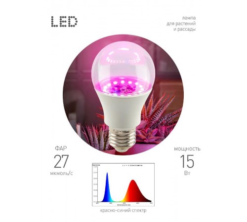 Фитолампа для растений светодиодная  GREEN LINE ФИТО A60-15W-PL-E27-GR красно-синего спектра 15 Вт Е27  Б0064548  ЭРА