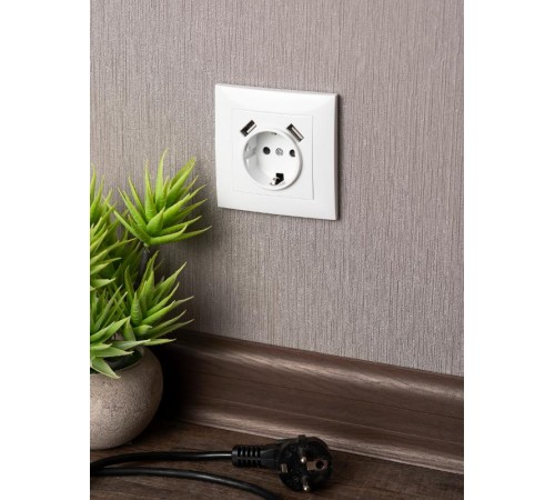Валенсия розетка 1-местная с/з 16А белая с защ. штор. с 2 USB 2,1А EKF PROxima   EWR16-028-10-2USB   EKF