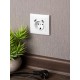 Валенсия розетка 1-местная с/з 16А белая с защ. штор. с 2 USB 2,1А EKF PROxima   EWR16-028-10-2USB   EKF
