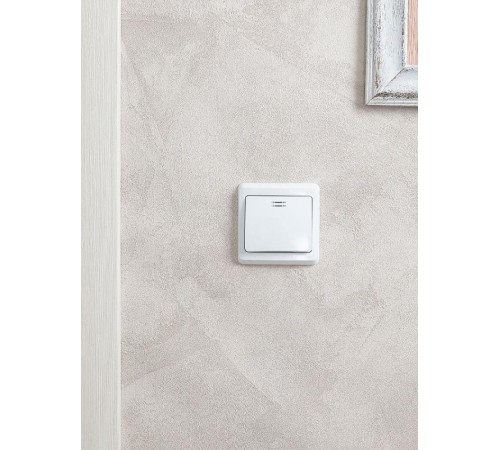 ВЕГА белый Выключатель 1-клавишный с индикацией 10А ВС10-1-1-ВБ  EVV11-K01-10-DM  GENERICA