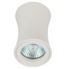 Светильник настенно-потолочный спот OL19 WH MR16/GU10, белый  Б0054388  ЭРА