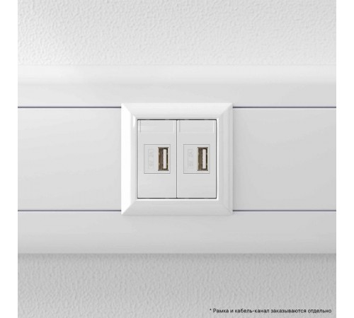 USB зарядное устройство "Белое облако", "Avanti", 2.1А, 2 мод.  4400542  DKC