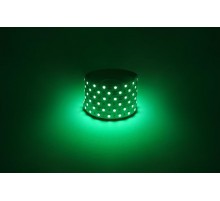 Лента светодиодная  LS5050 -14,4-60-12-G-IP20-1 year-5m зеленый 5м  Б0059920  ЭРА