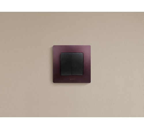 Etika Антрацит Выключатель 2-клавишный, автозажимные клеммы, 10 AX, 250 В  672602  Legrand