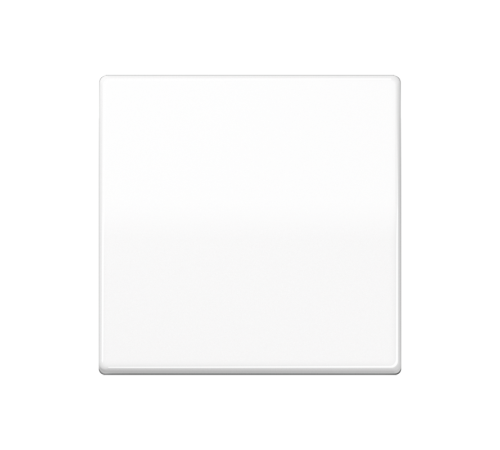 Клавиша для балансирного выключателя; термопласт; белая  AS591BFSWW  Jung