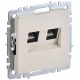 BRITE Розетка двойная RJ11+RJ45 кат.5E РК/Т12-БрКр бежевый  BR-KT20-O-1-K10  IEK