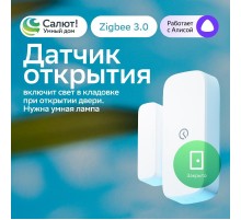 Умный датчик открытия   SBDV-00030  Sber