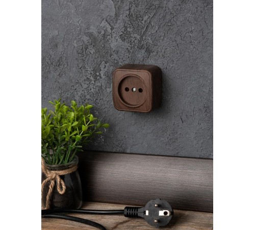 Розетка 1-местная ОП Минск 10А без заземления тёмное дерево EKF  EGR10-022-40  EKF