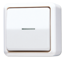 Выключатель контрольный для накладного монтажа 606KO5AWW Jung