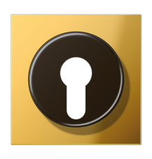 Крышка к выключателю для замочного механизма; металл цвета золота  GO2928  Jung