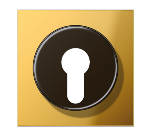 Крышка к выключателю для замочного механизма; металл цвета золота  GO2928  Jung