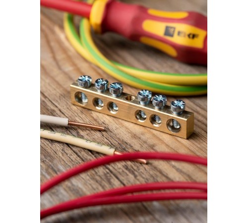 Шина "0" PE 63.06 (латунь) EKF PROxima  sn0-63-06  EKF