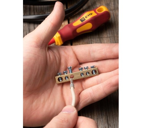 Шина "0" PE 63.06 (латунь) EKF PROxima  sn0-63-06  EKF