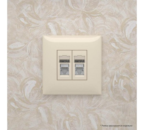 Розетка RJ-45 в стену, 5e двойная экранированная, Avanti, "Ванильная дымка"  4405364  DKC