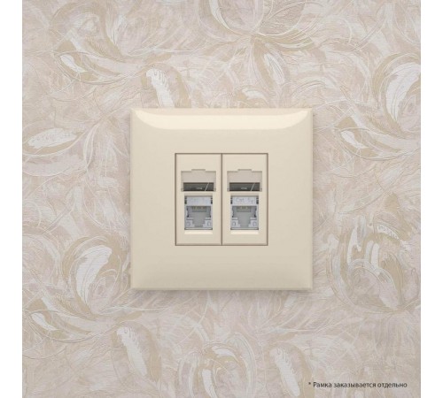Розетка RJ-45 в стену, 5e двойная экранированная, Avanti, "Ванильная дымка"  4405364  DKC