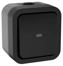 TORS Переключатель однокл. с ин. 10А IP55 TS102 графит  TS-V10-1-10-55-K53  IEK