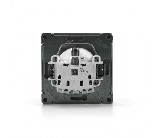 ArtGallery Шампань Розетка с заземлением со шторками, 16А, механизм, быстрозажим. клем.  GAL000545S  SE