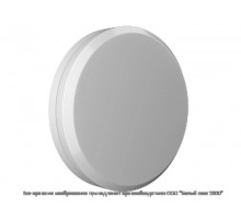 Аварийный светильник BS-VITARION-10-L2-ELON 5000K  a21644  Белый Свет