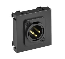 Мультимедийная рамка XLR Modul45 (черный) (MTG-X3M S SWGR1)  6105260  OBO Bettermann