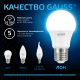 Лампа светодиодная A60 10W 920lm 6500K E27 LED 1/10/50  102502310  Gauss
