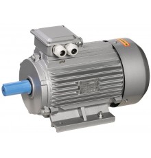 Электродвигатель 3ф.АИР 100L2 380В 5,5кВт 3000об/мин 1081 (лапы) серии ONI  ONR100-L2-005-5-3010  ONI
