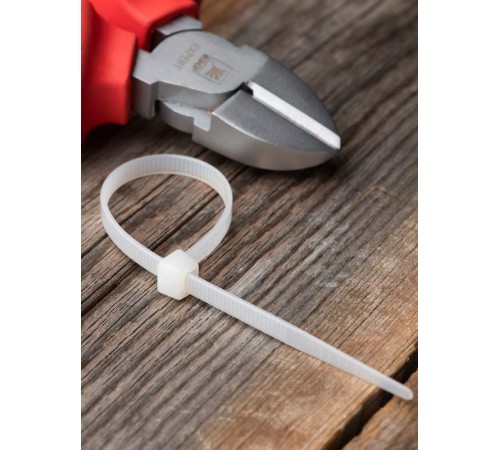 Хомут P6.6 стандартный (б), 4.6x120 (100шт) FlexLock PROxima  plc-fl-ctsw-4.6x120  EKF