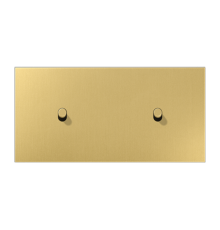 Центральная плата, 2 поста, для горизонтальной установки, тумблеры 1+1, цилиндр; металл; латунь classic; LS1912  ME12-200CR25  Jung